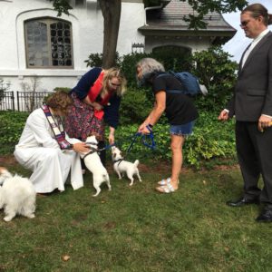 Animal Blessing Animal Blessing