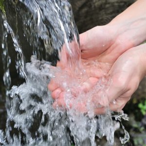 “I AM!” “I AM!”