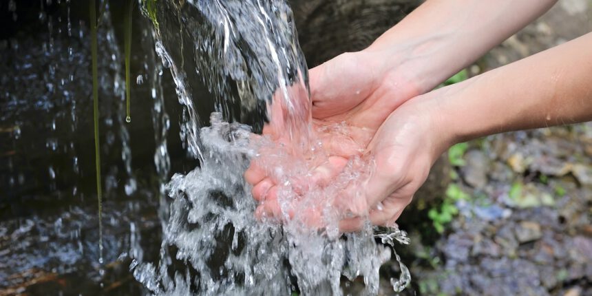 “I AM!” “I AM!”