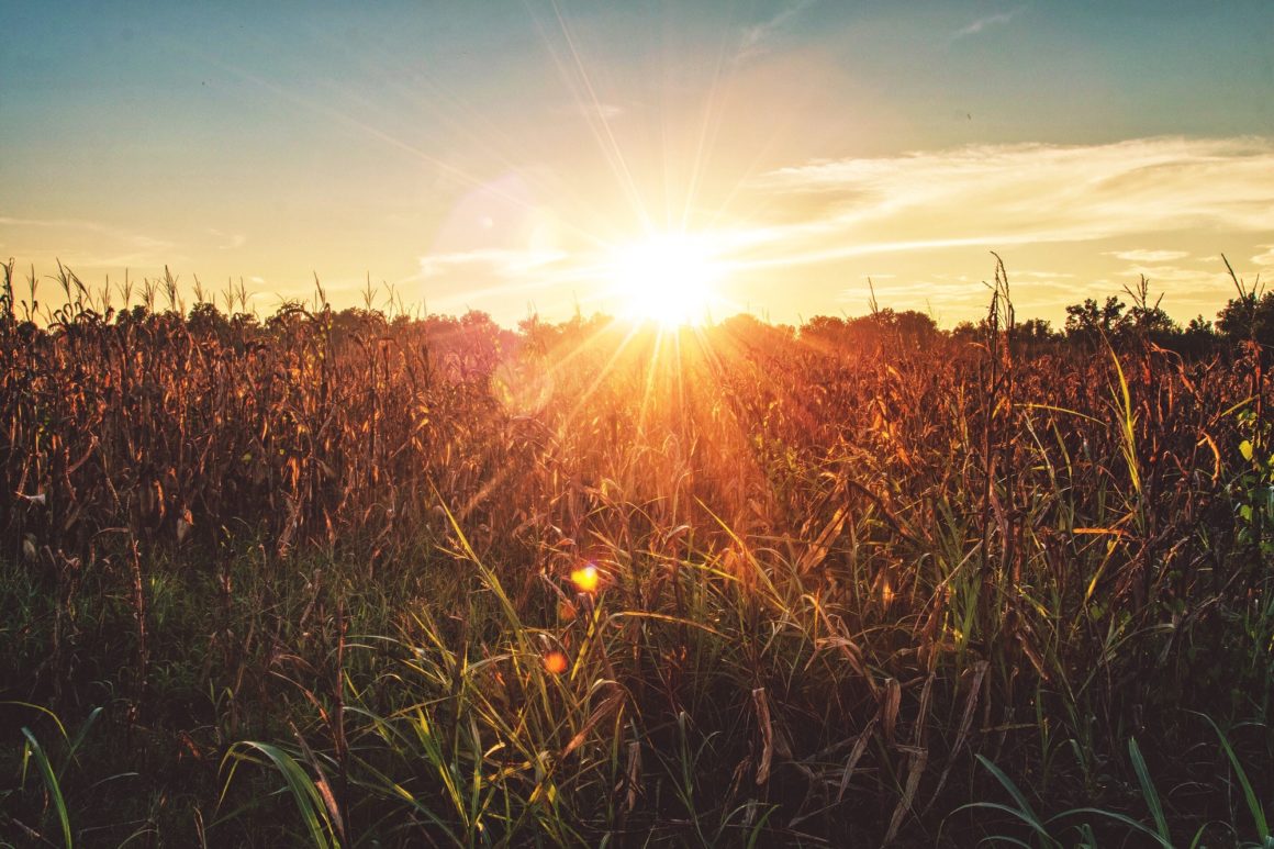 Harvest the Power Leadership Development